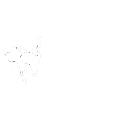 mertysonphotography.com.au